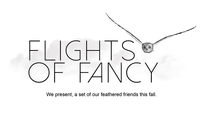 Silver Spoon Jewelry Flights of Fancy